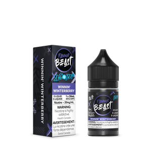 Flavour Beast ICE Salt Nic Vape Juice - Winnin' Winterberry (30ml)