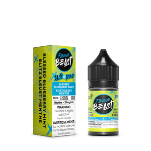 Flavour Beast ICE Salt Nic Vape Juice - Blessed Blueberry Mint (30ml)