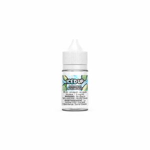 Iced Up Vape Juice  Freebase - Honeydew Ice (30 mL)